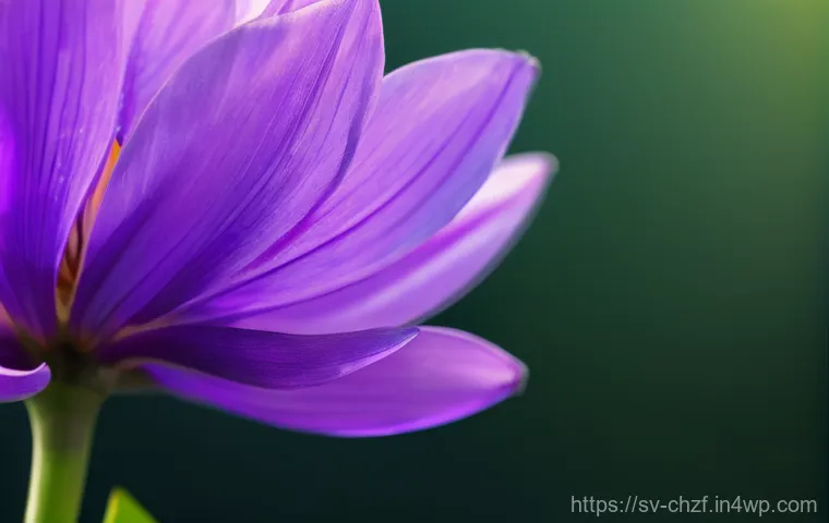 남은 식재료 활용으로 만드는 다양한 조리법 이미지 2